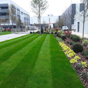 Sky Studios – Commercial Irrigation Case Study