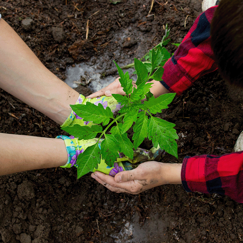 Seasons of Change: Why Smart Irrigation Is Now Essential