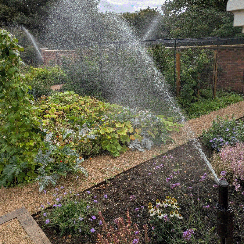 Why Irrigation Design Matters: The Secret to a Healthier, More Efficient Landscape